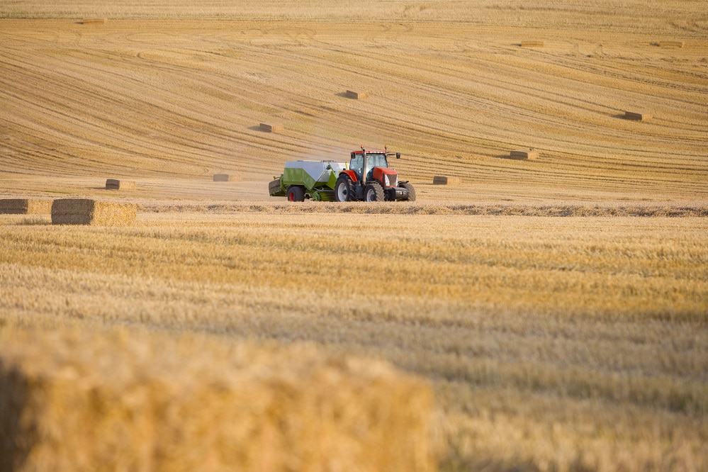 What Are The Factors That Affect Bale Yield