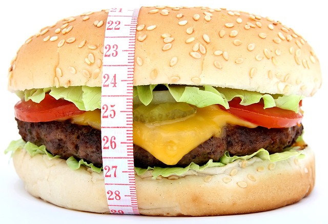 What Are The Key Factors That Influence the Count of Burgers