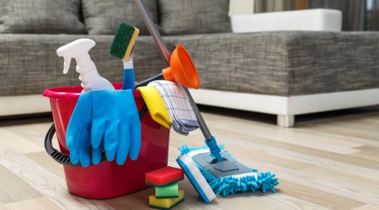 The Perks of Hiring a Professional Cleaner for Your Home