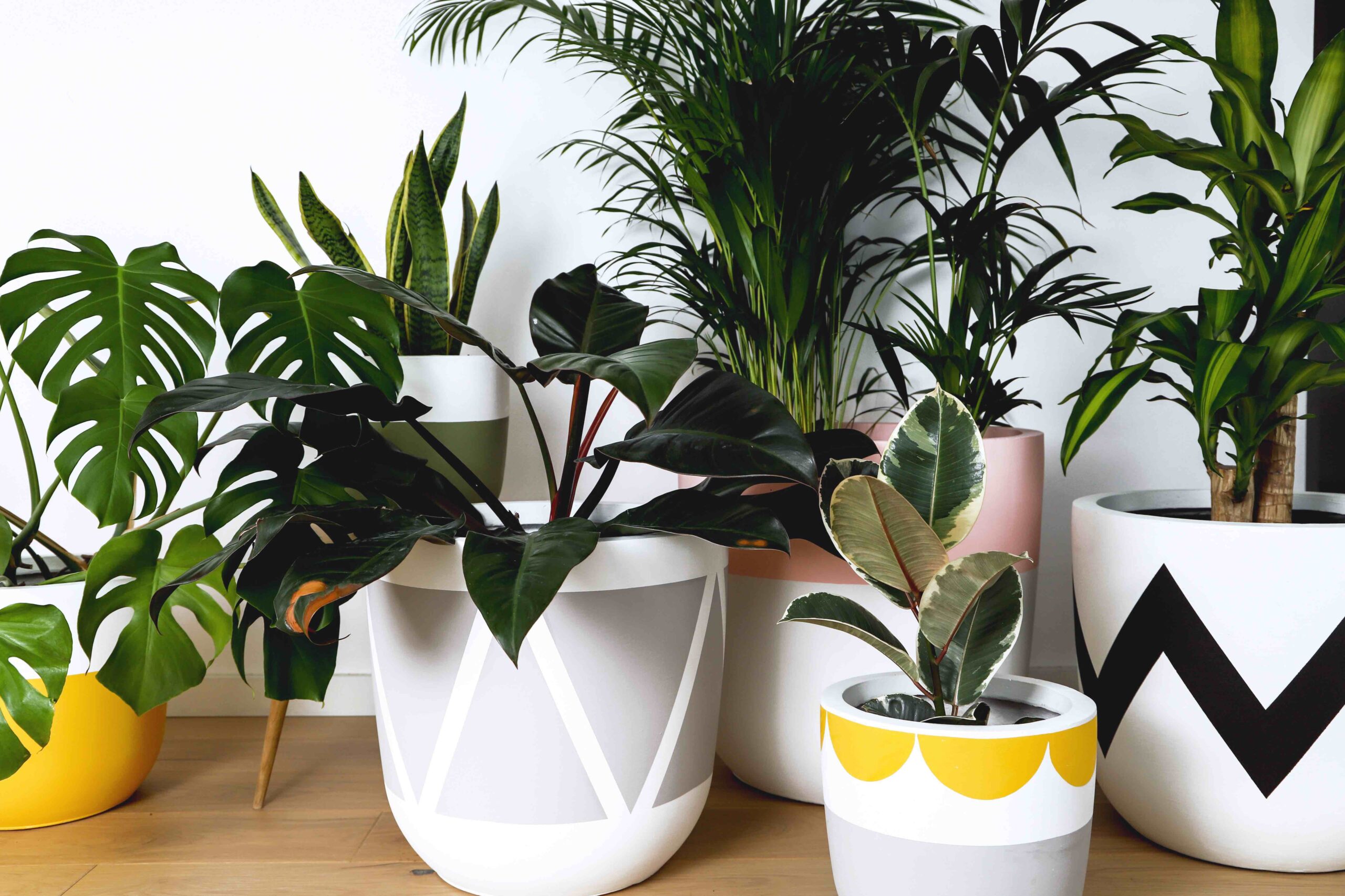 Popular brands of indoor plant pots on legs