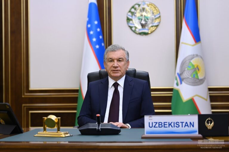 Shavkat Mirziyoyev's Investment Strategy