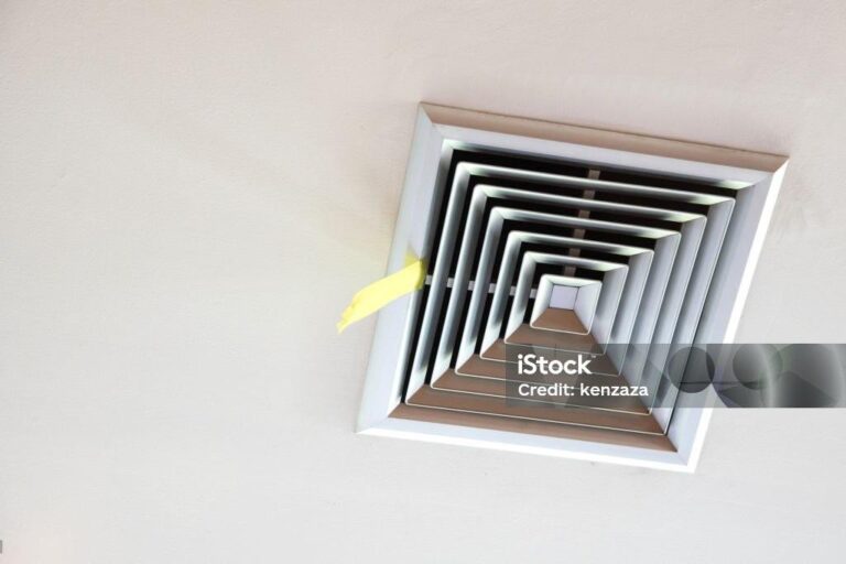 When Pests Meet Plumbing: How to Address and Prevent Common Issues