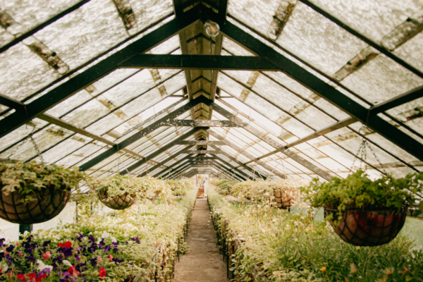 A Four-Season Haven: Building a Versatile Greenhouse