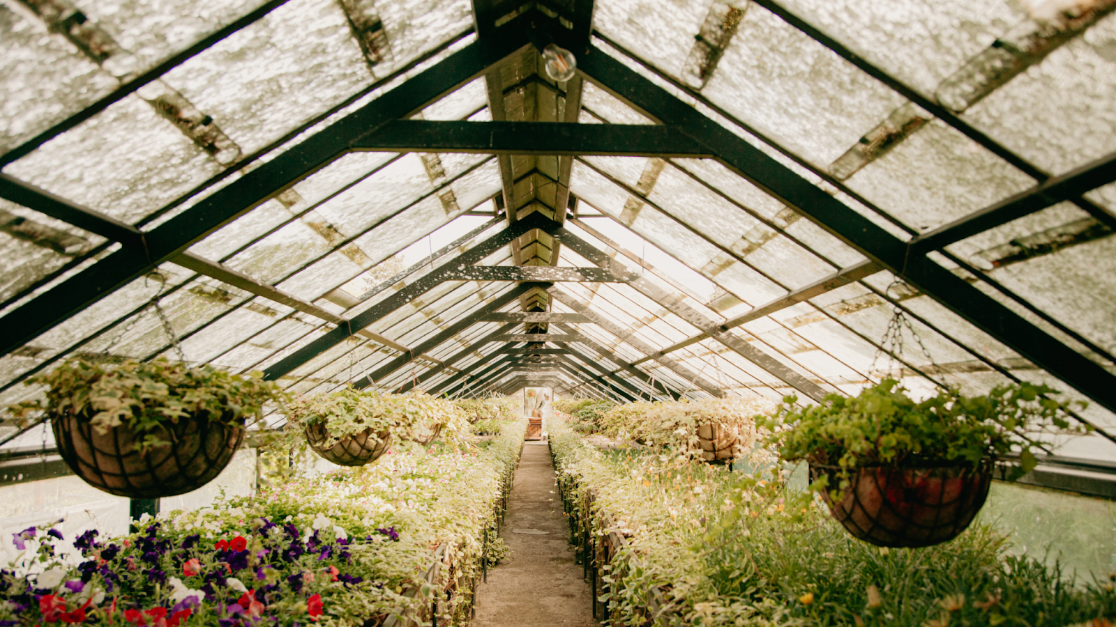 A Four-Season Haven: Building a Versatile Greenhouse