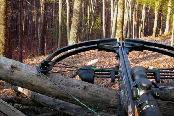 Exploring the Advantages of Using a Crossbow While Hunting