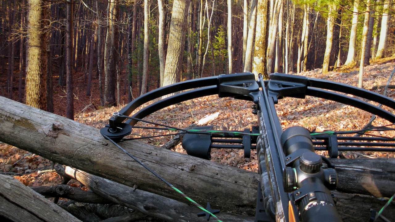 Exploring the Advantages of Using a Crossbow While Hunting