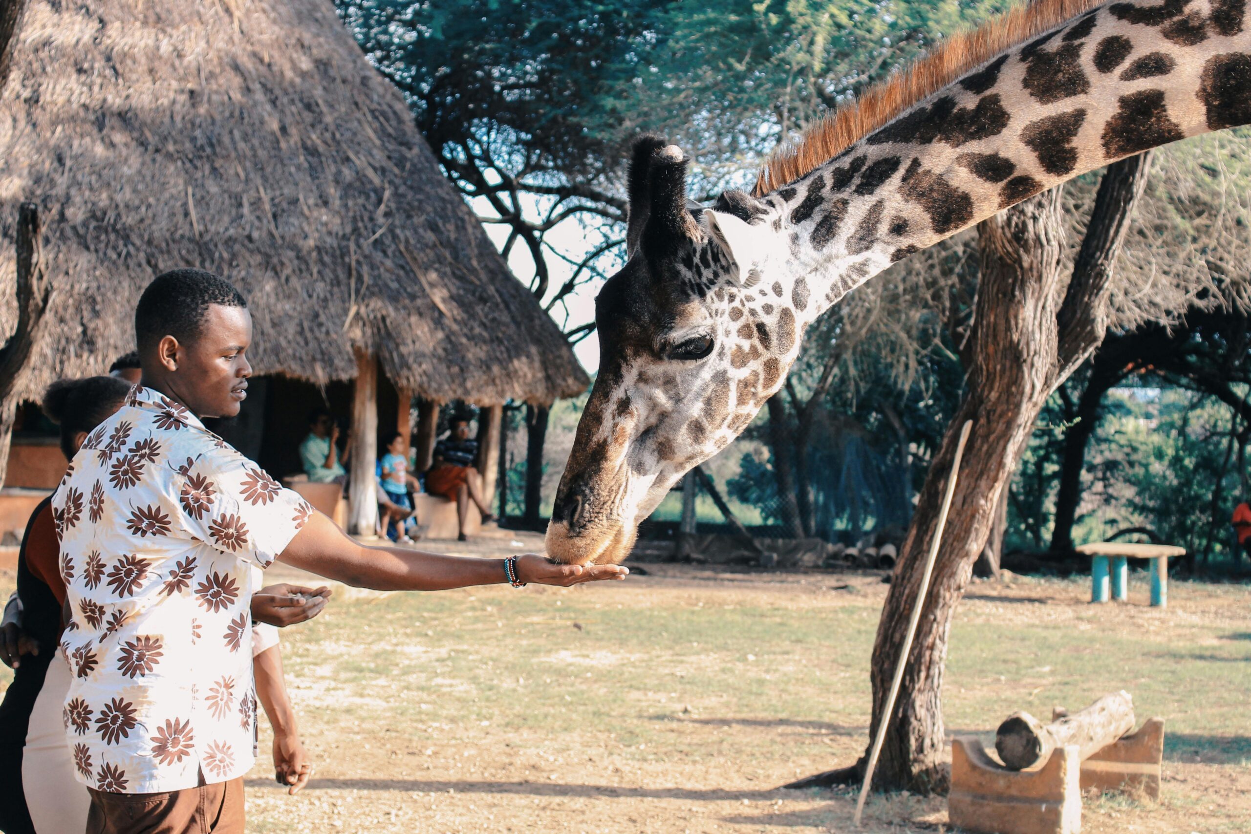 Why Kenya Should Be Your Next Travel Destination