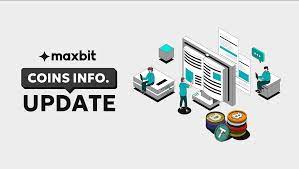 MaxBIT: Empowering Seamless Connectivity with High-Quality Fiber-Optic Internet in Cambodia