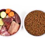 Raw Diet vs. Kibbl