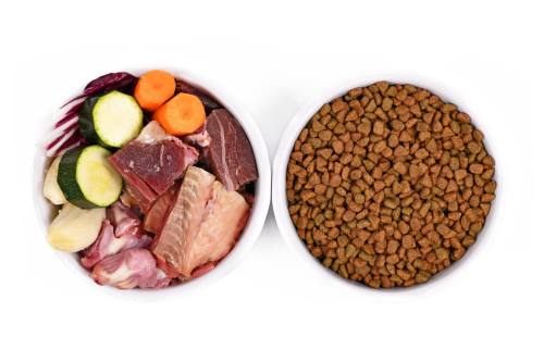 Raw Diet vs. Kibble: Which Food Is Best for Your Dog? Raw Diet vs. Kibbl