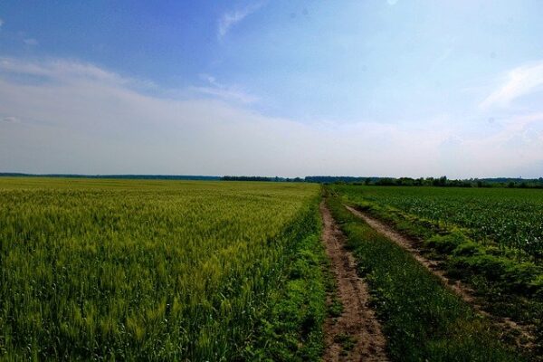 Due diligence when buying land in Ukraine