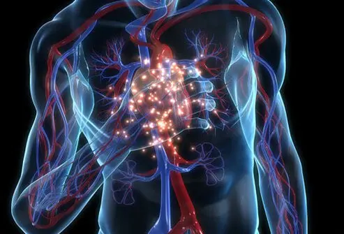 CARDIOLOGY Symptoms and Risk Factors